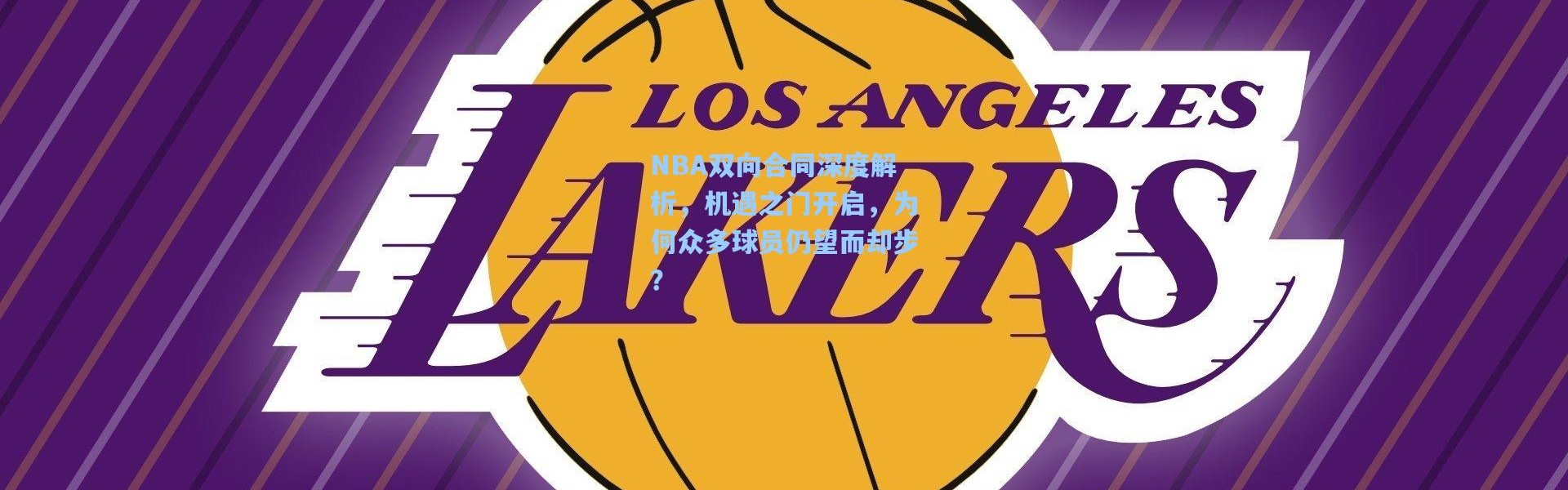 NBA双向合同深度解析，机遇之门开启，为何众多球员仍望而却步？