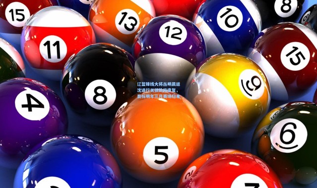 辽篮锋线大将丛明晨返沈进行关键阶段康复，目标明年三月赛场归来