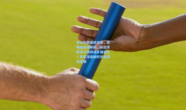 勇士酝酿重磅交易，库明加或成筹码，前冠军射手小波特成补强目标？专家深度解析完美契合逻辑